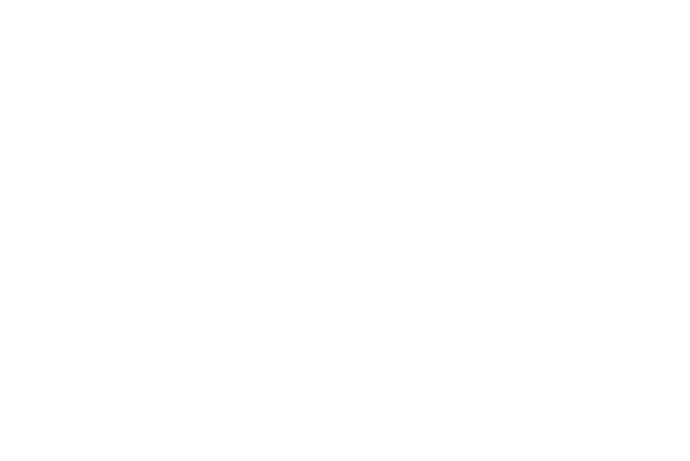 Micky Fins logo with a marlin